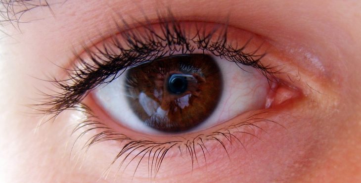 La salud ocular está asociada a la Vitamina E y sus propiedades