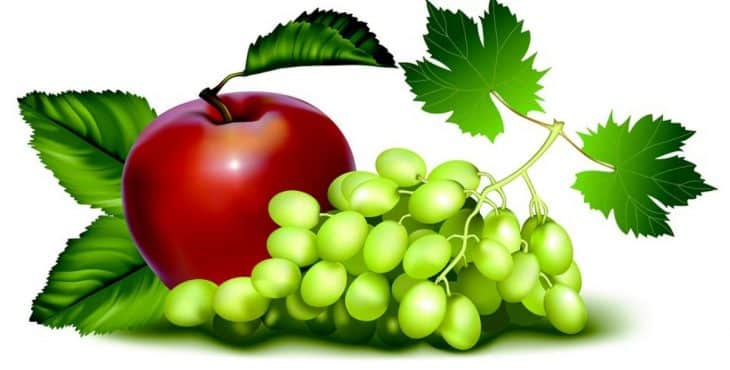 La cantidad diaria que debe ingerirse de frutas y vegetales para preservar la salud ha sido objeto de atención de múltiples investigaciones