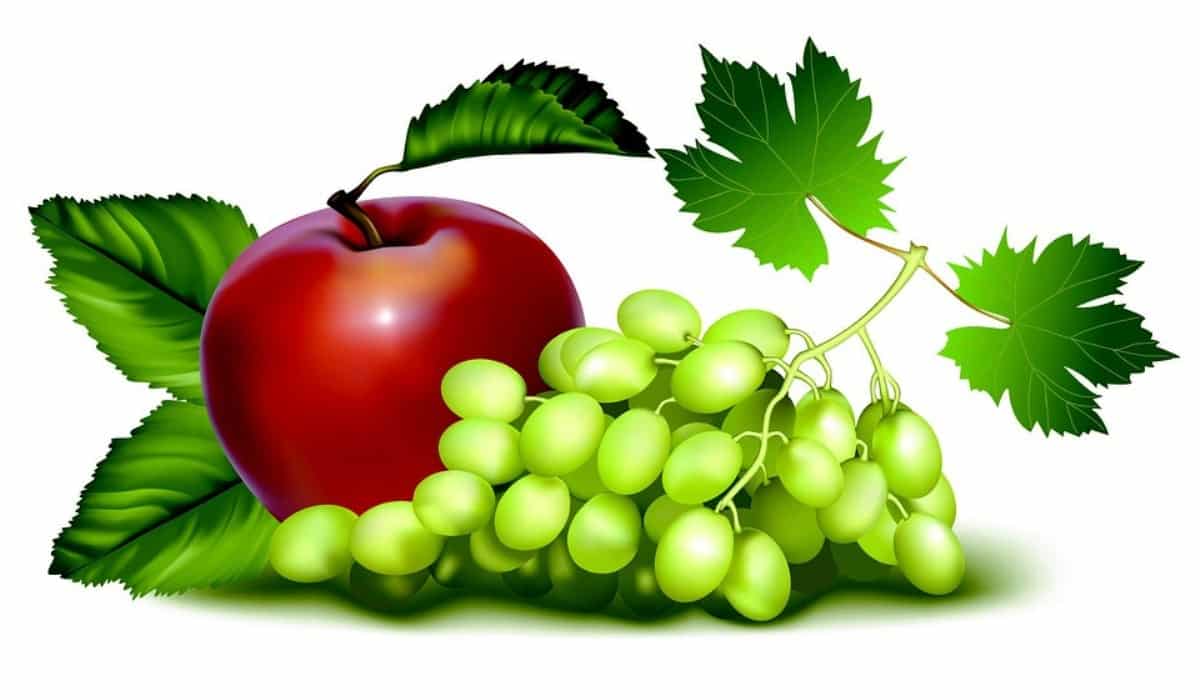 ¿Se puede prevenir el cáncer con la ingestión de frutas y vegetales?