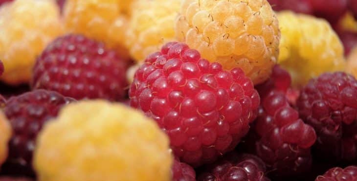 El consumo de frutas y vegetales son buenos consejos para prevenir el cáncer