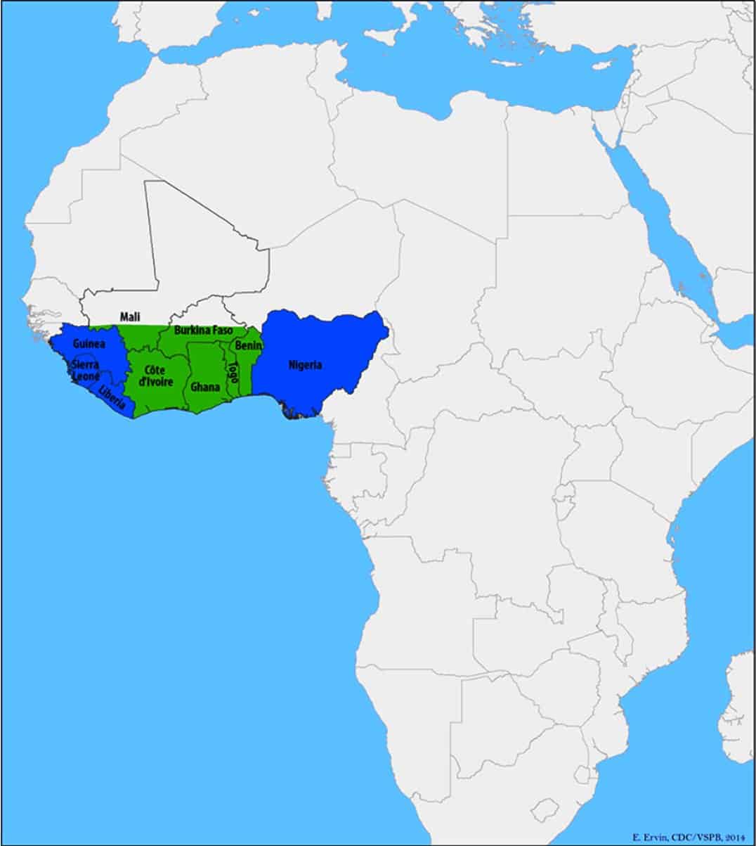 Los países afectados por el virus de la fiebre de Lassa son Nigeria, Liberia, Sierra Leona y Guinea