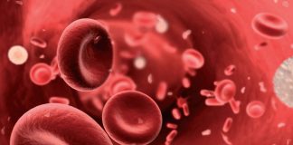 anemia Tipos de anemia