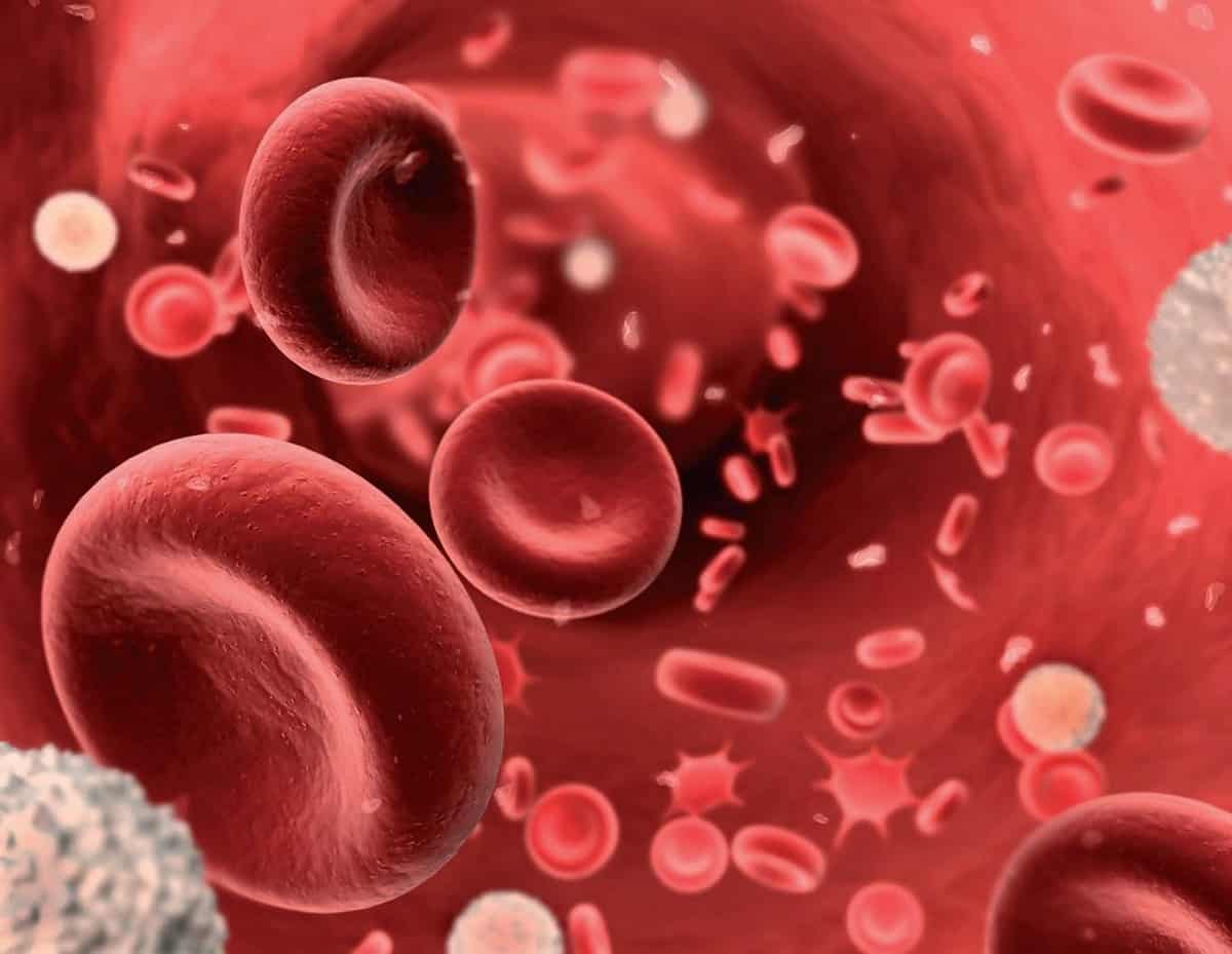 anemia Tipos de anemia
