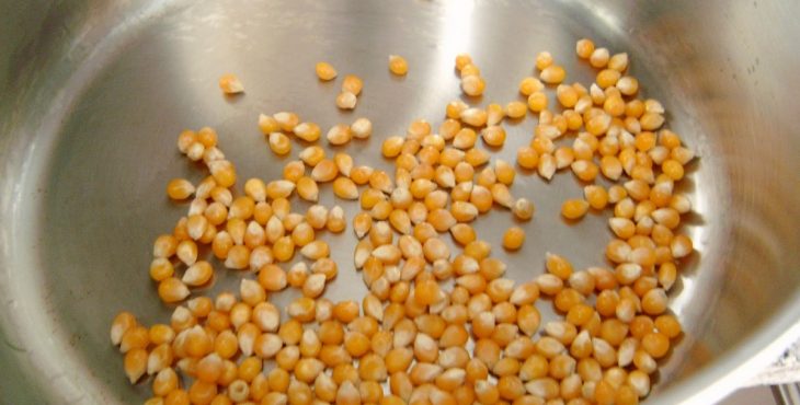 Puedes encontrar los granos de maíz en cualquier supermercado
