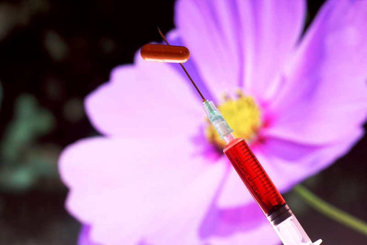 Las flores constituyen una de las causas más frecuente de rinitis alérgica