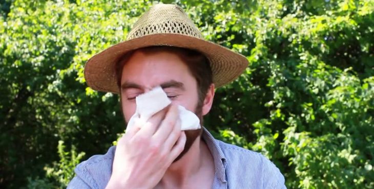 Los molestos estornudos acompañan a la mayoría de las rinitis alérgica