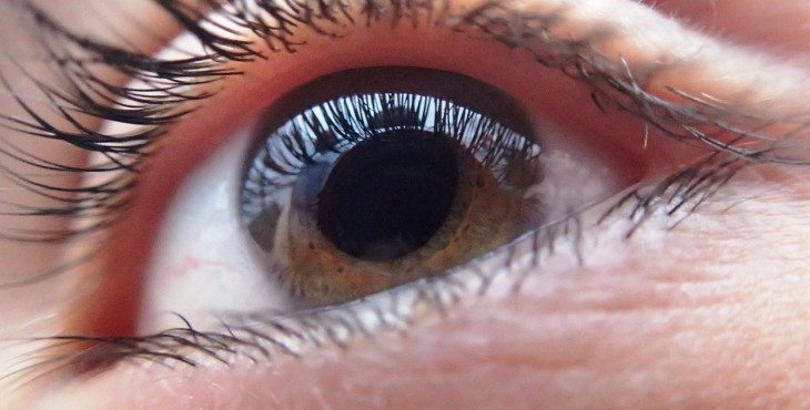 El glaucoma primario de ángulo abierto y la ceguera en el adulto mayor