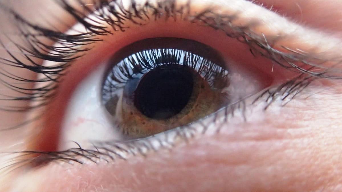 ¿Cómo afecta el ordenador a tus ojos?