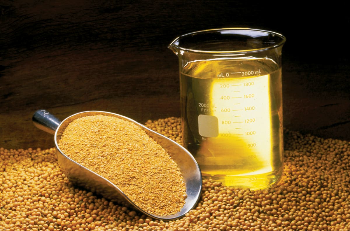 Lecitina de soja Mercadona, análisis de productos con lecitina de soja