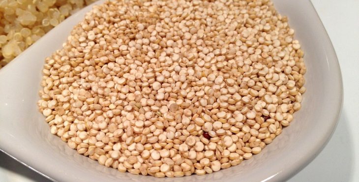 quinoa semilla