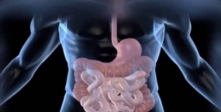 El dolor de estómago puede estar relacionado con la ingestión de comidas
