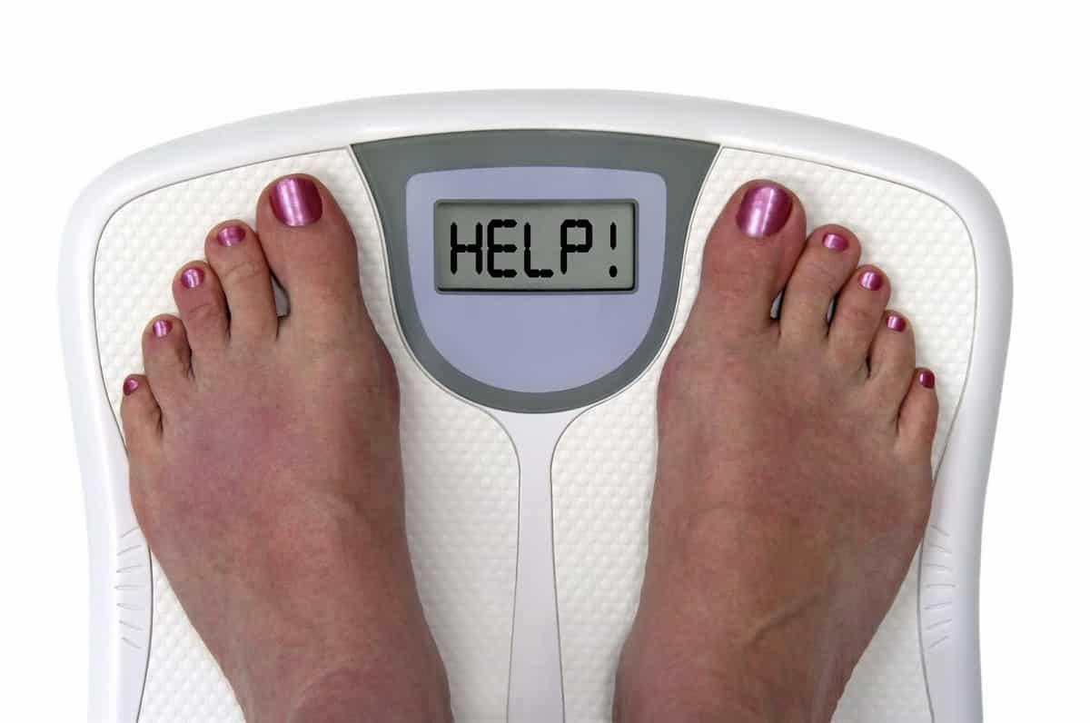 Dieta para perder grasa dietas para perder peso rápido