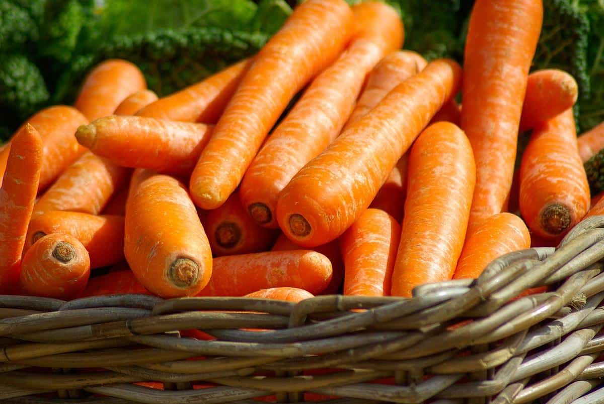 Recetas con zanahoria dulces y saladas para todas las comidas