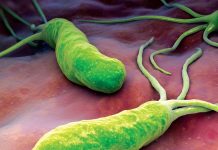 dieta helicobacter pylori