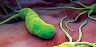 dieta helicobacter pylori