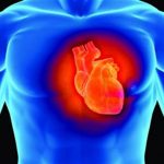 Estatinas y las enfermedades cardiovasculares