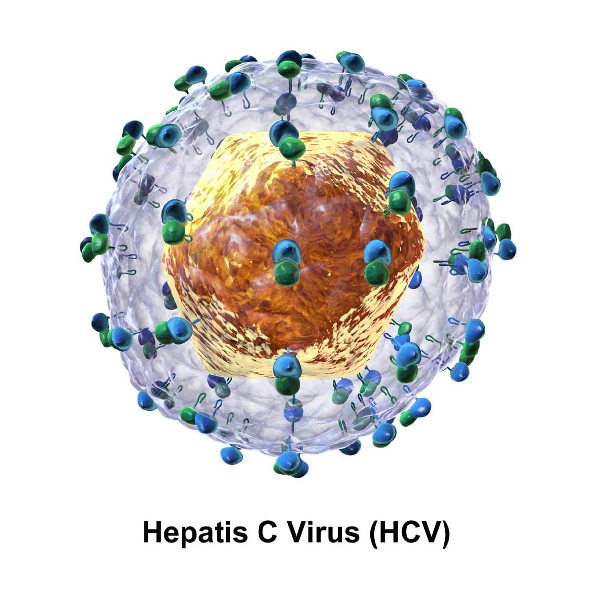 Hepatitis C, tú también podrías padecerla