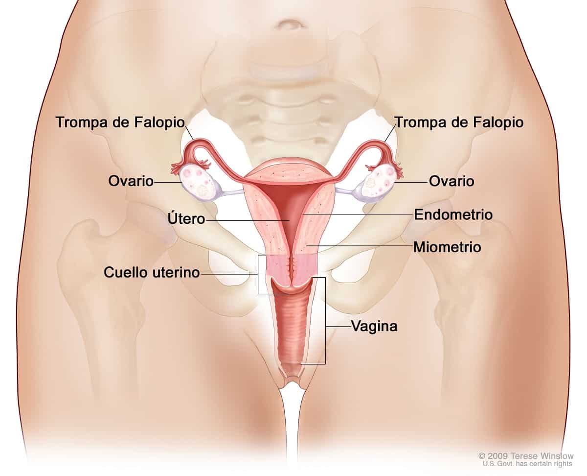 cancer de cuello uterino