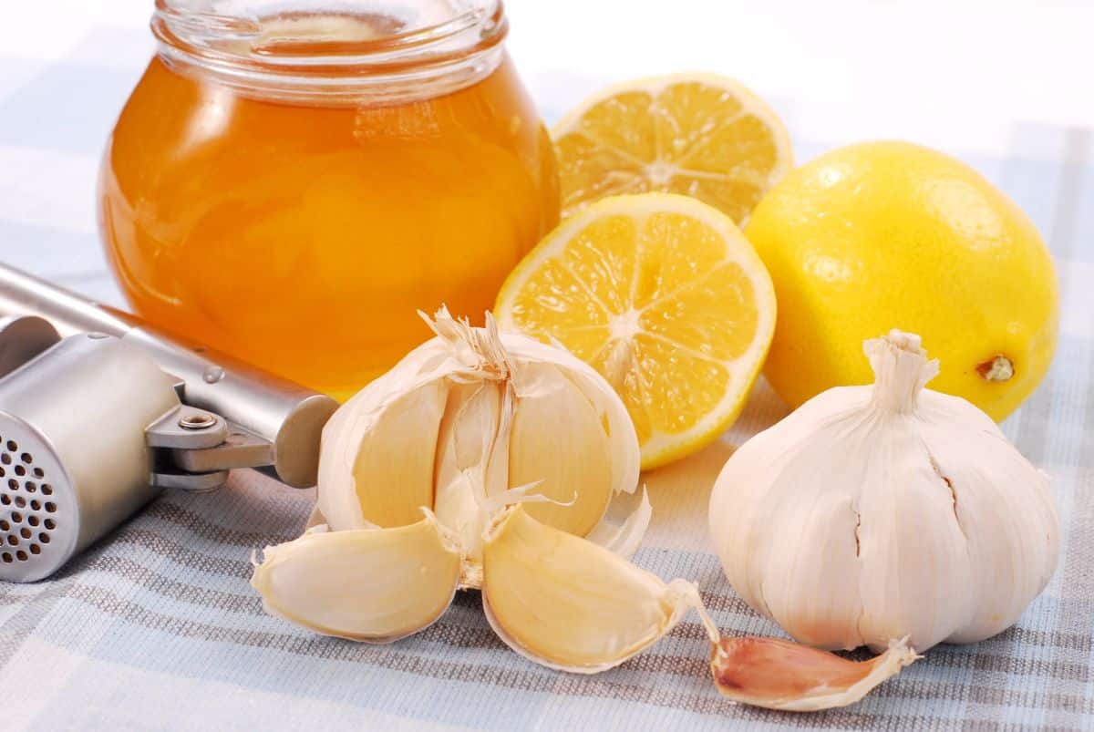 7 beneficios de tomar ajo y miel en ayunas