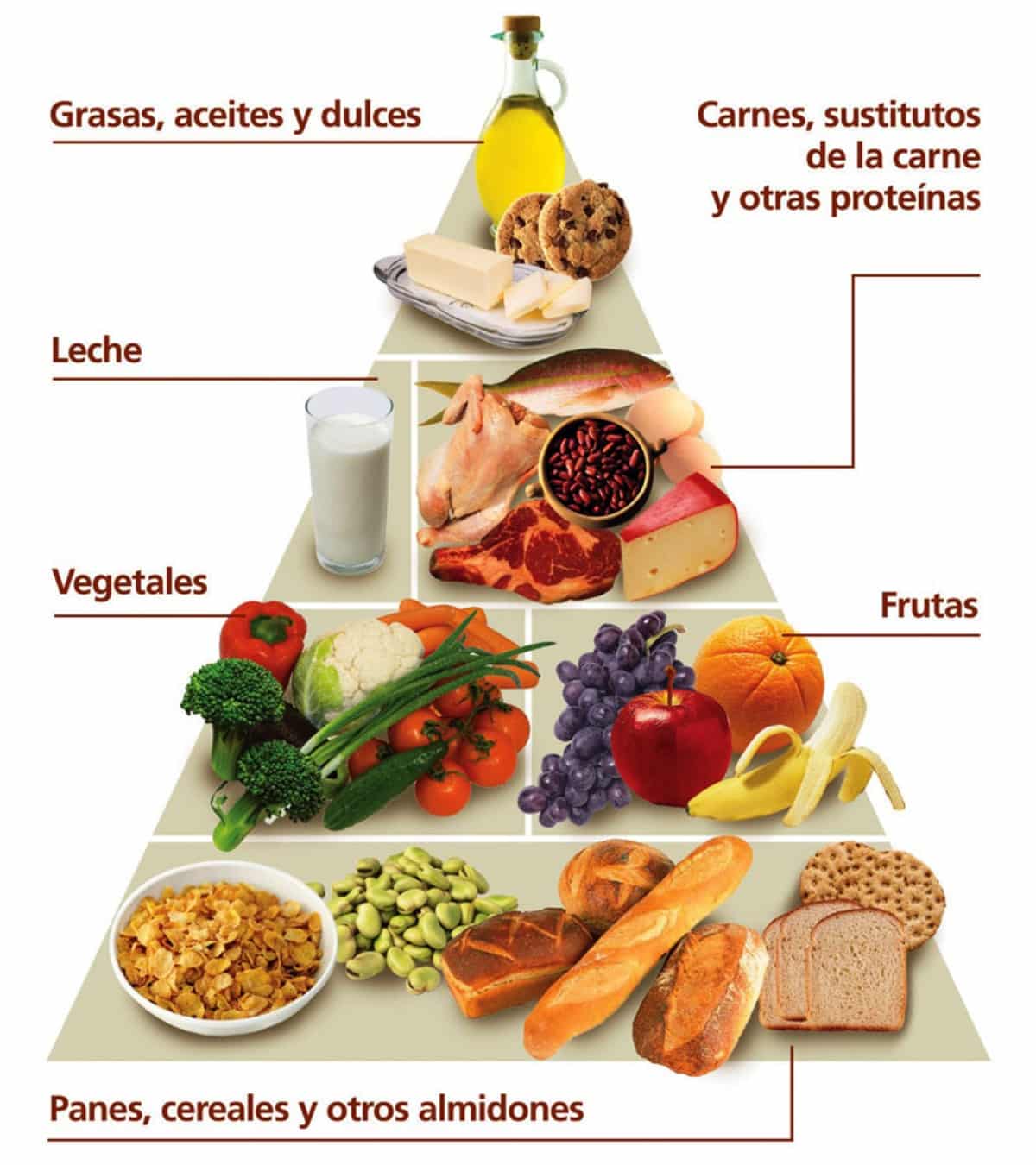 El equilibrio de nutrientes es la base de una buena nutrición