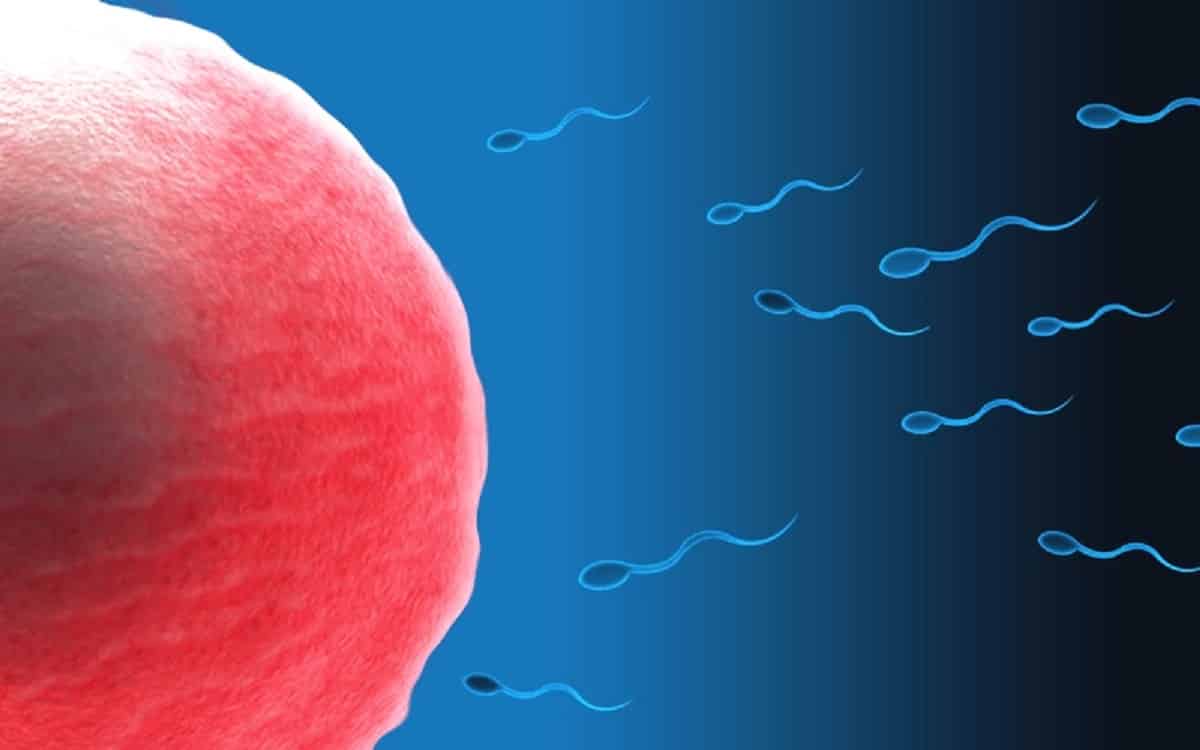 16 verdades sobre el semen y los espermatozoides