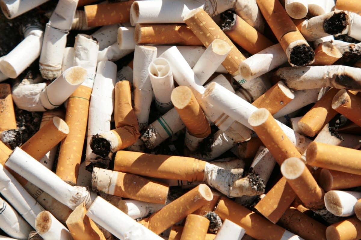 Cáncer de pulmón causado por abuso del consumo de cigarrillos
