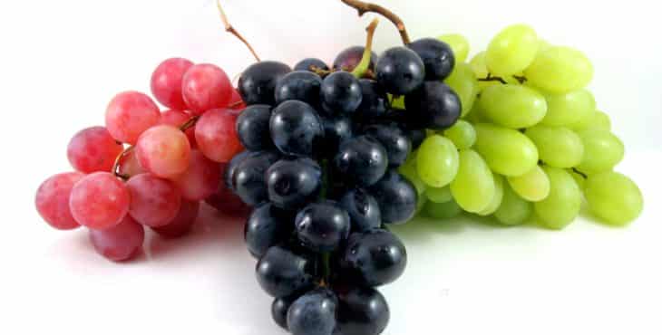 clases de uvas