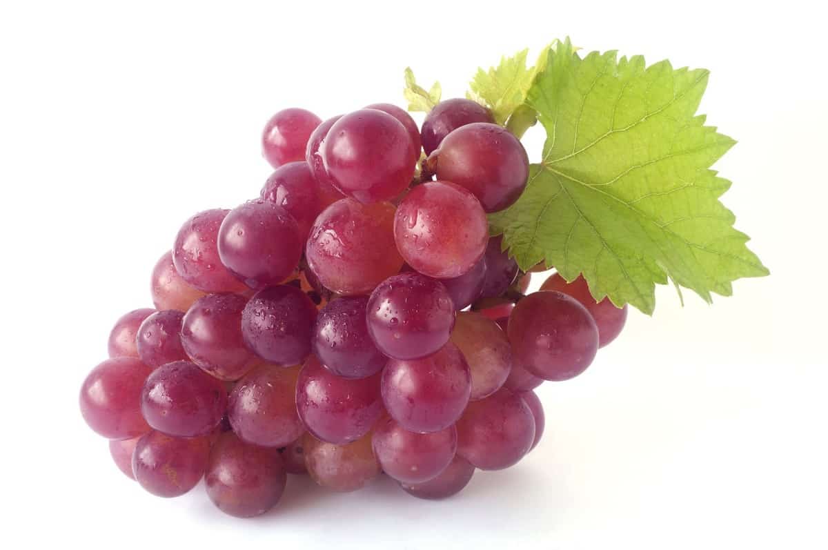 ¿Sabes cómo te puede ayudar tomar 15 uvas al día?