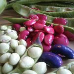 legumbres de colores