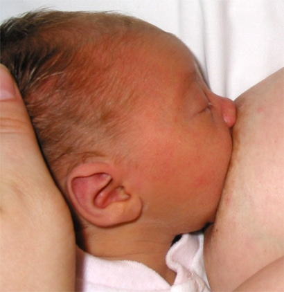 La mayoría de los bebes reciben la leche materna como alimentación principal