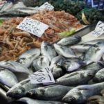 Pescado en mercados que pueden desencadenar las manifestaciones de trimetilaminuria