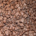 Semillas de cacao para obtener el deliciosos chocolate