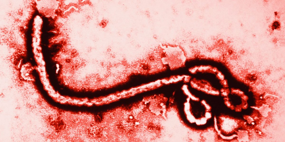 Ébola: toda la información para mantenerte a salvo