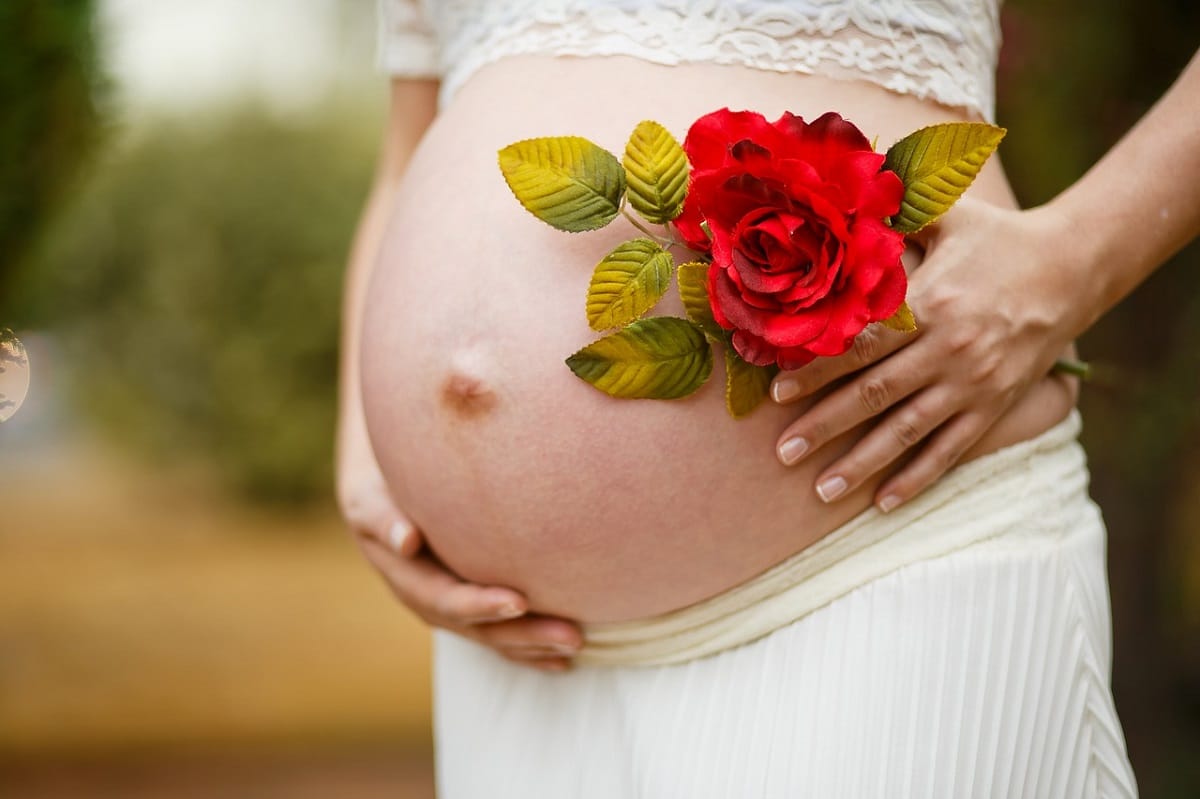 Rosa para la embarazada más fértiles