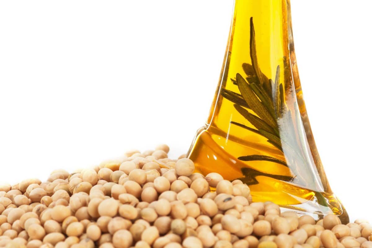 Propiedades de la lecitina de soja, mucho más que reducir el colesterol