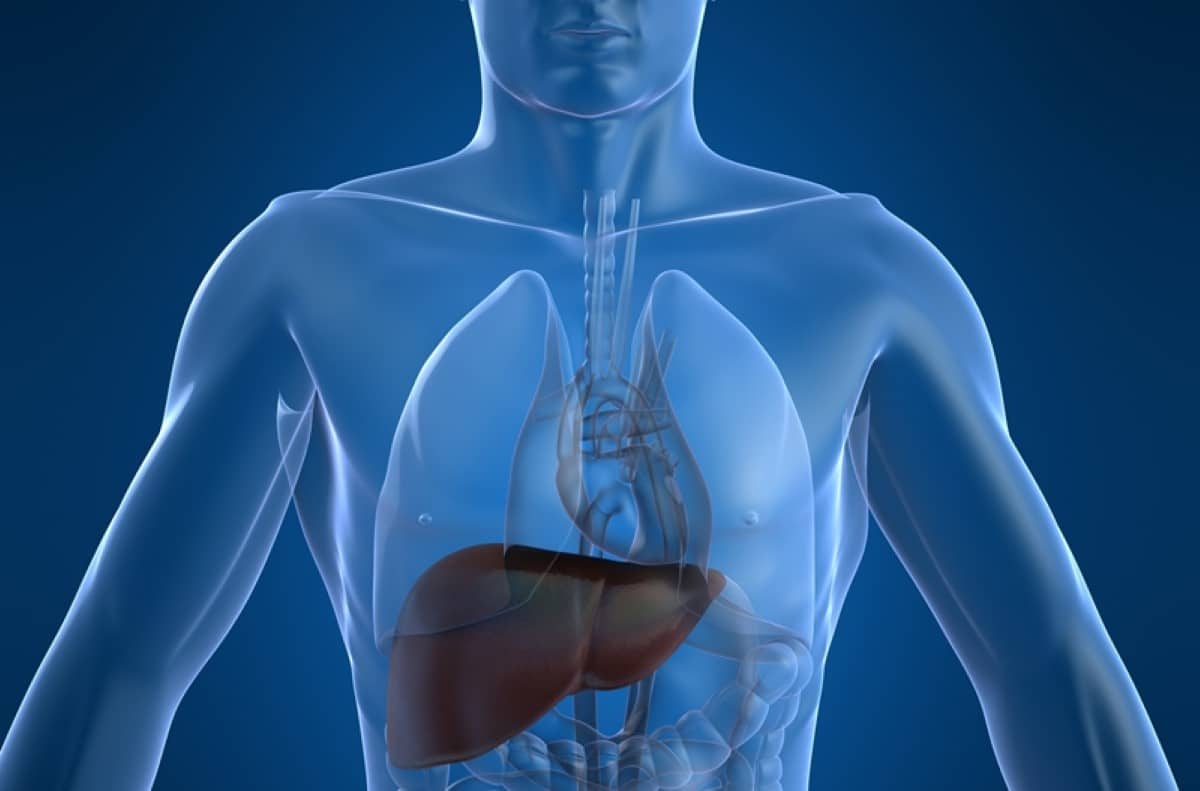 Inflamación del hígado: tipos, causas y tratamientos