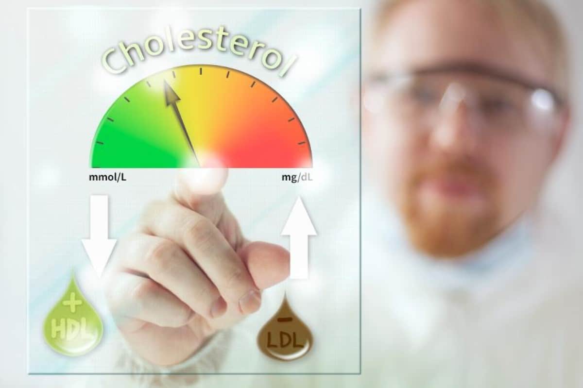 ¿Necesitas bajar los niveles de colesterol? Te diremos todo lo necesario