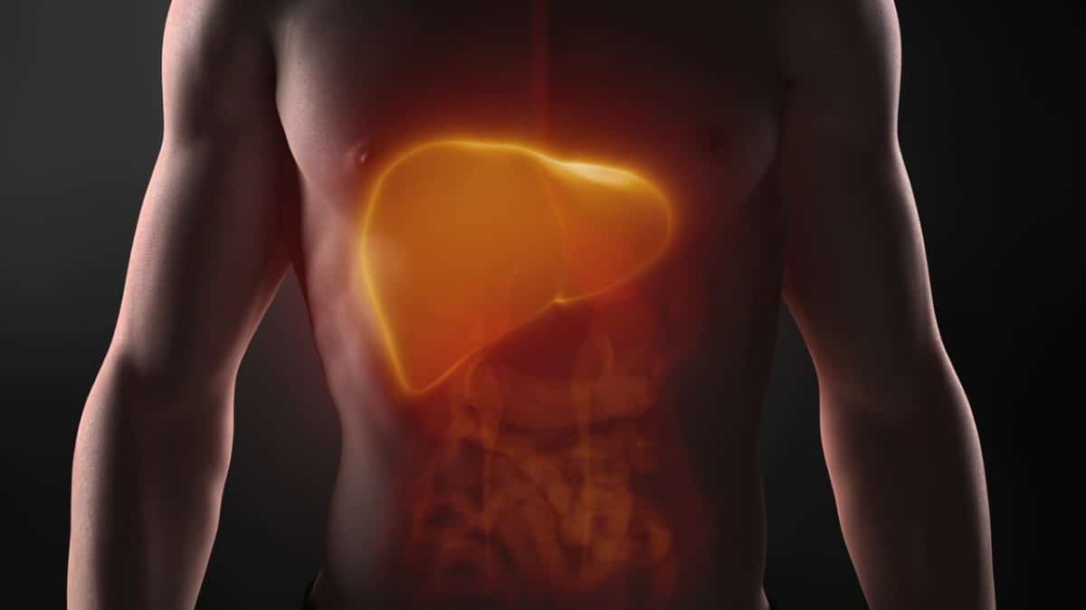 Funciones del hígado: Descubre por qué es tan importante cuidarlo