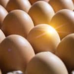 Dieta para ganar masa muscular: Huevos
