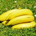 Plátanos para satisfacer potasio, energía y fibra en tu dieta