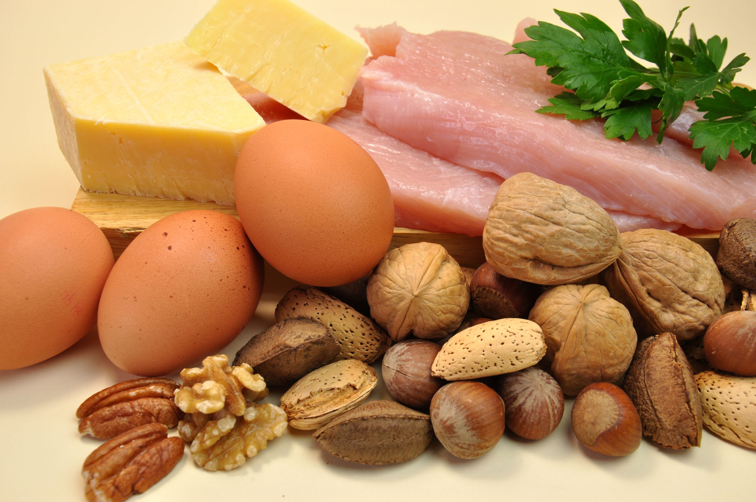 alimentos ricos en proteínas y funciones