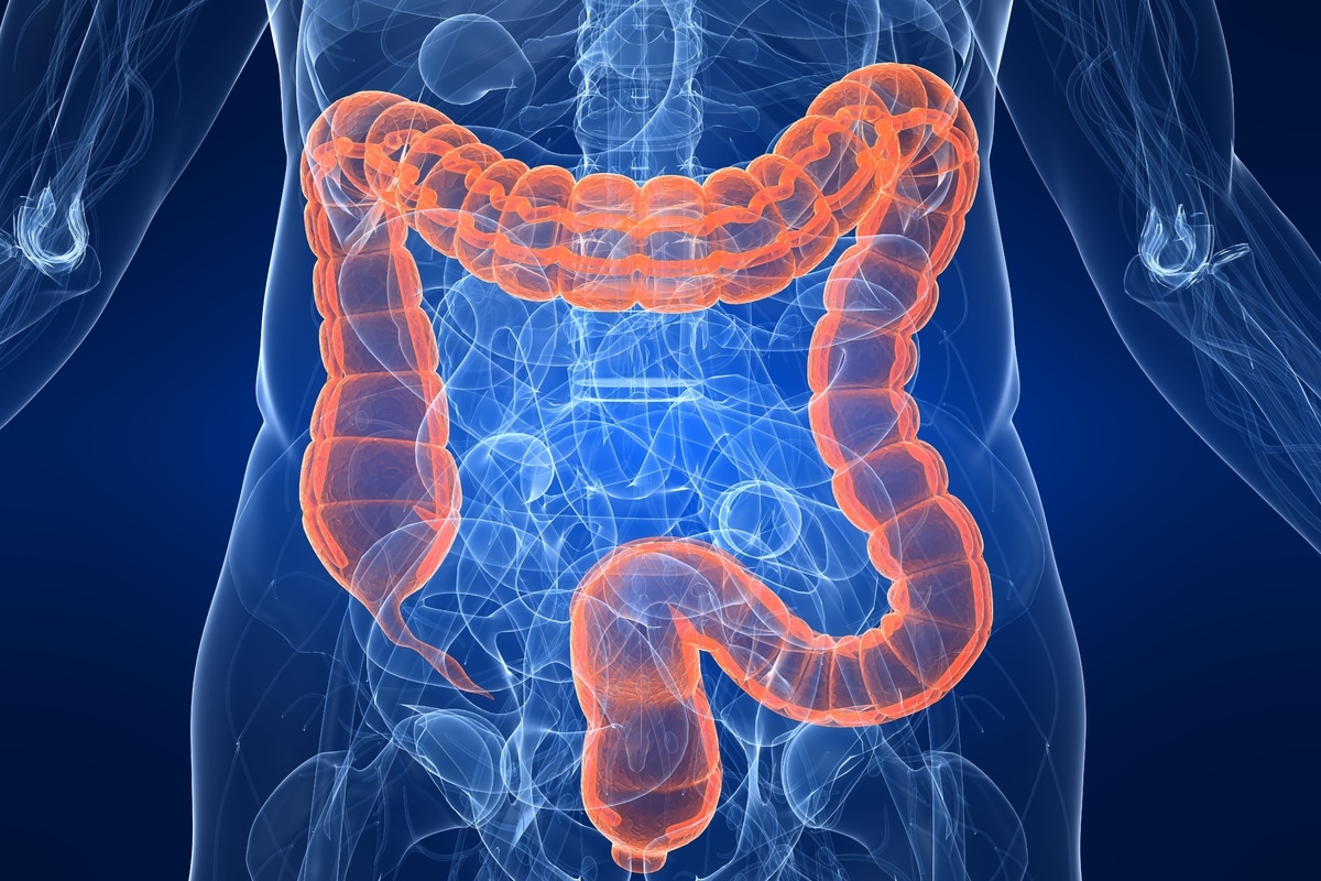 Problemas digestivos más comunes en los adultos