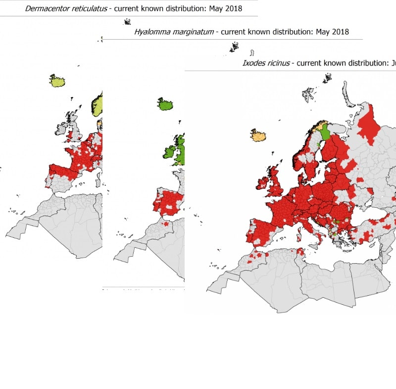 Localización geográfica de garrapatas en España
