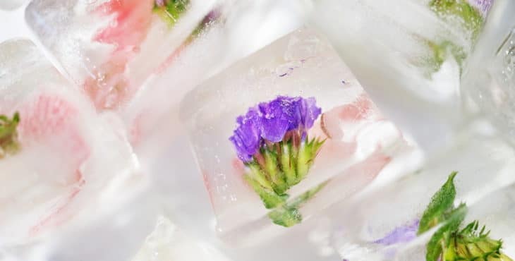 Cubos de hielo con flores